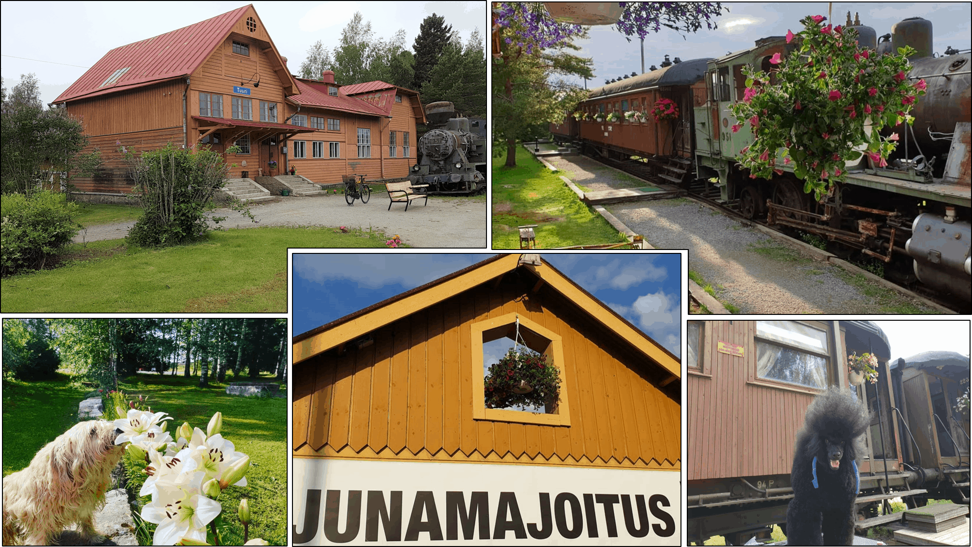 Tervetuloa - Junamajoitus: Tuurin Asema/Tuuri Station % %